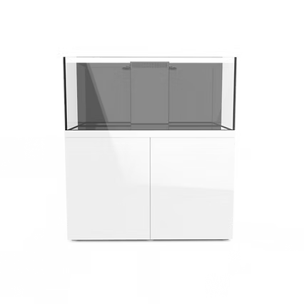PROSTAR 362056 90  WHT