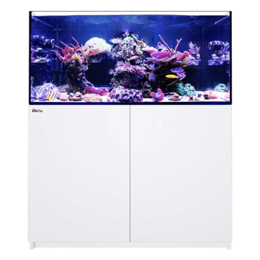 RS REEFER G3  350 WHT