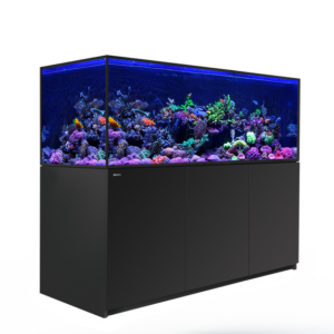 AQUARIUMS & SUPPLIES